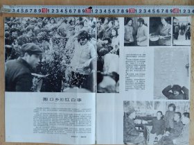 摄影印刷正、反面宣传照，宣传照科正面，河南淮阳县搬口乡村80年代《搬口乡的红白事——记搬口乡为群众文明节俭操办婚丧大事的“红白事协会”摄影: 杨峰、撰文: 徐秀俊》; 背面: 武陟县供销社与北京红星养鸡场联营合建的机械化养鸡场开始生产，摄影: 王天定、张大纯，撰文: 张祖功; 光明的使者——记武警部队某部眼科医生李聘卿发现“新明穴”摄影: 赵国勤、撰文: 何国光、樊双来; 丹青传友谊。