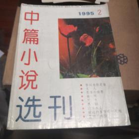 杂志     中篇小说选刊 （1995年第2期）