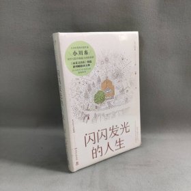 闪闪发光的人生