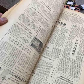 浙江日报1963年1-12月全（原报合订）