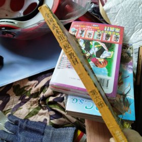 全国武术馆(校)教材.第六册.对练套路、散手和推手