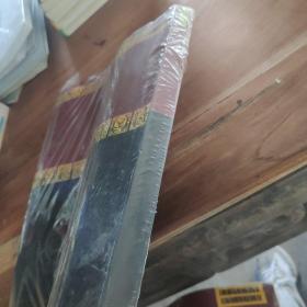 The NATURE OF THE HUMAN MINO