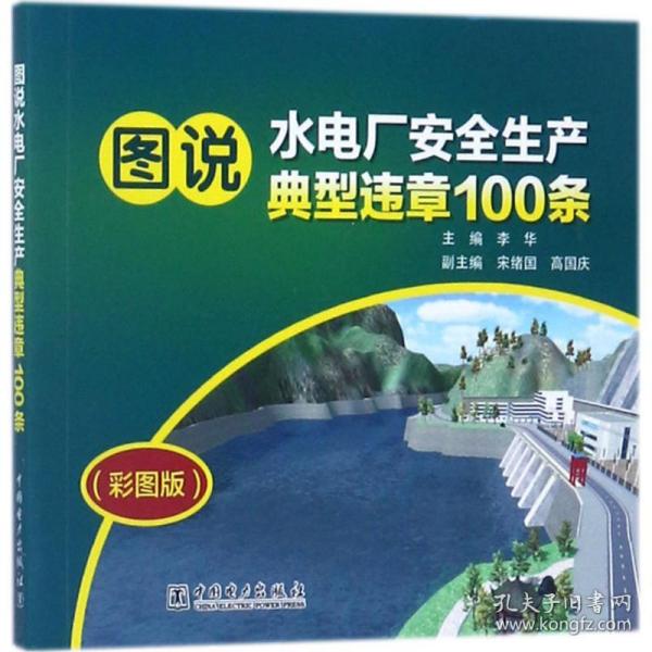 图说水电厂安全生产典型违章100条