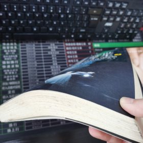 前世今生2：总有奇迹降临