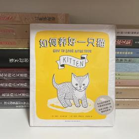 如何养好一只猫