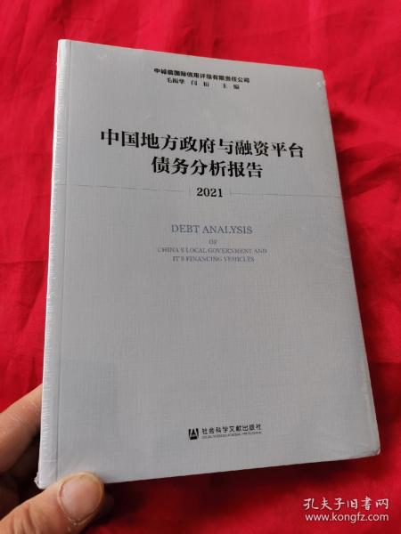 中国地方政府与融资平台债务分析报告（2021）