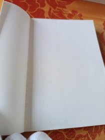 小学数学教学新论