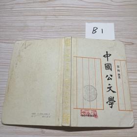 中国公文学