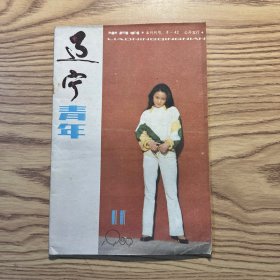 辽宁青年1989年第11期