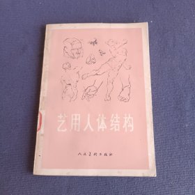 艺用人体结构