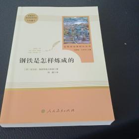 统编语文教材配套阅读 八年级下：钢铁是怎样炼成的/名著阅读课程化丛书