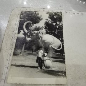 小朋友东湖大象雕塑上留影/大象踩石球