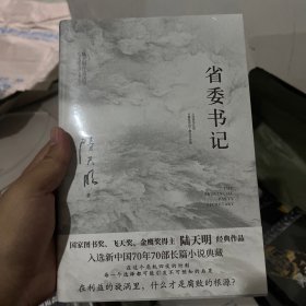 省委书记（国家图书奖、飞天奖、金鹰奖得主陆天明经典作品，电视剧《省委书记》原著小说）