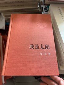 新中国60年长篇小说典藏 我是太阳