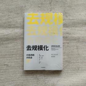 去规模化：小经济的大机会（全新未开封）