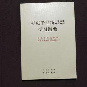 习近平经济思想学习纲要（16开）