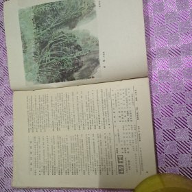 诗刊旧杂志1983/1-6合订