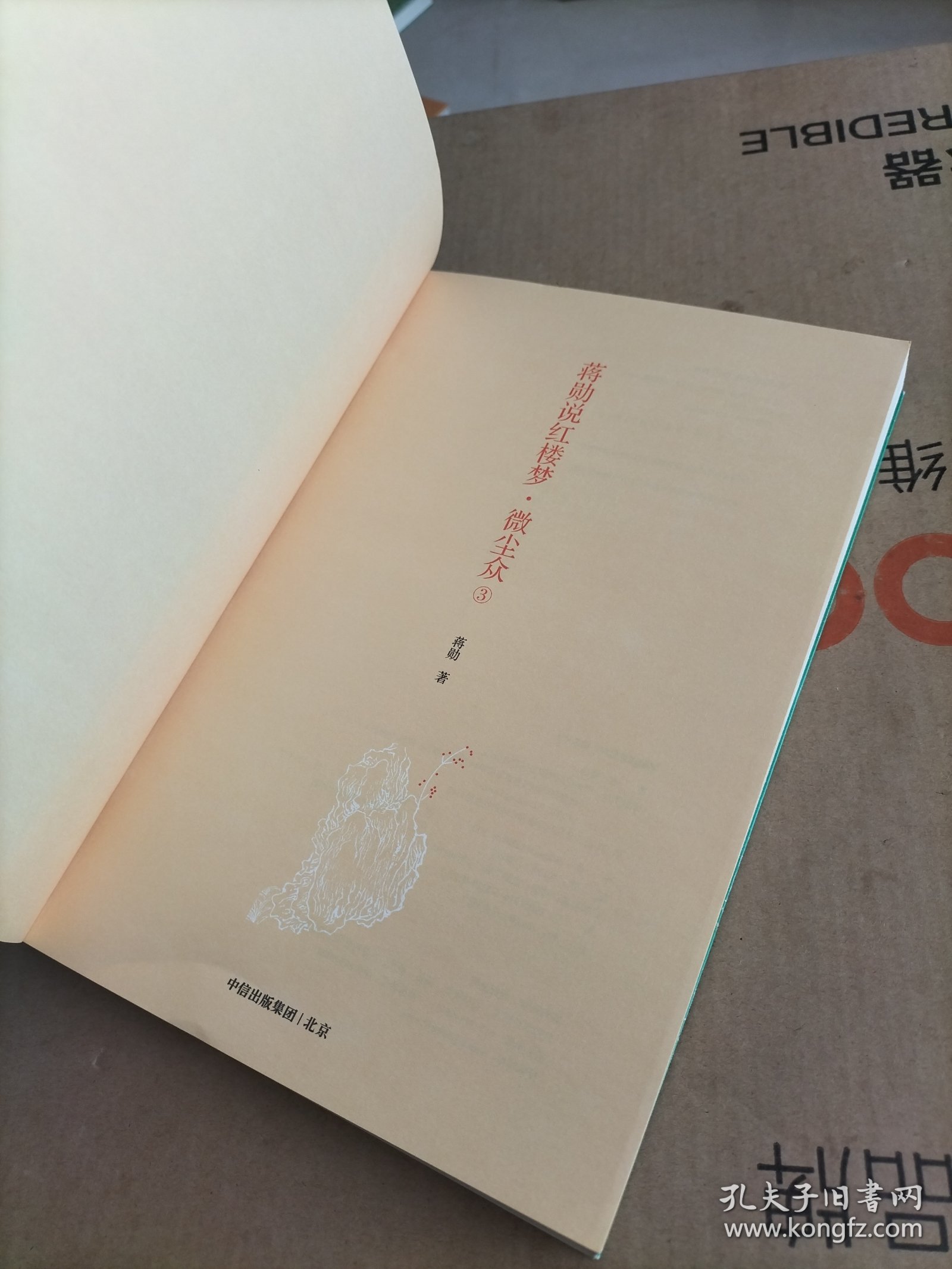 蒋勋说红楼梦（细说小人物）一本第三册