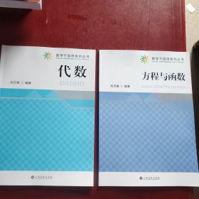 数学千层饼系列丛书： 代数/ 方程与函数 （两本合售）未翻阅