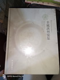 丰城洪州窑址(16开精装现货)