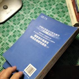 国家审计信息化持续发展研究报告. Report series of IT audit researches in China