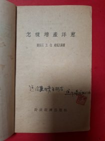 怎样增産洋葱