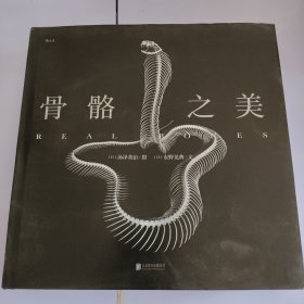 骨骼之美 逝去之物见生命之华，“自然”中现“大美”。艺术与科学的结合，侘寂美学与演化之道的碰撞