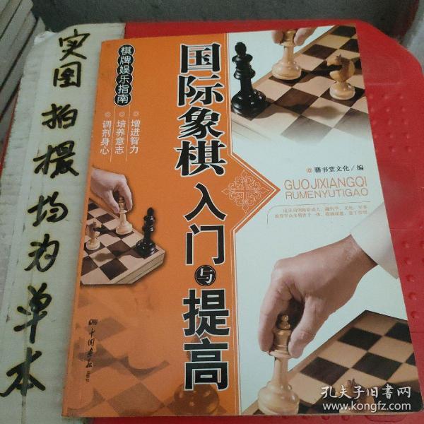 棋牌娱乐指南：国际象棋入门与提高