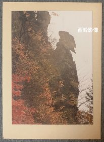 天津市摄影协会会员穆宽1980年代摄影作品：《枫山古人》，背有签名。