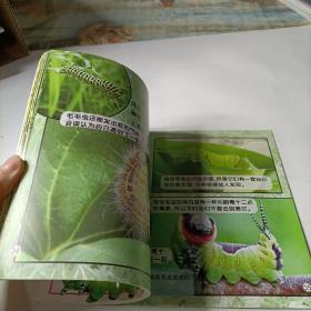 我想知道的Animals100个动物：昆虫篇（附动物贴纸）