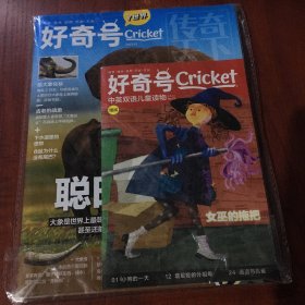 好奇号Cricket2022年10月上下