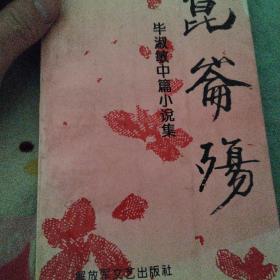 昆仑伤 (Mandarin Chinese Edition)