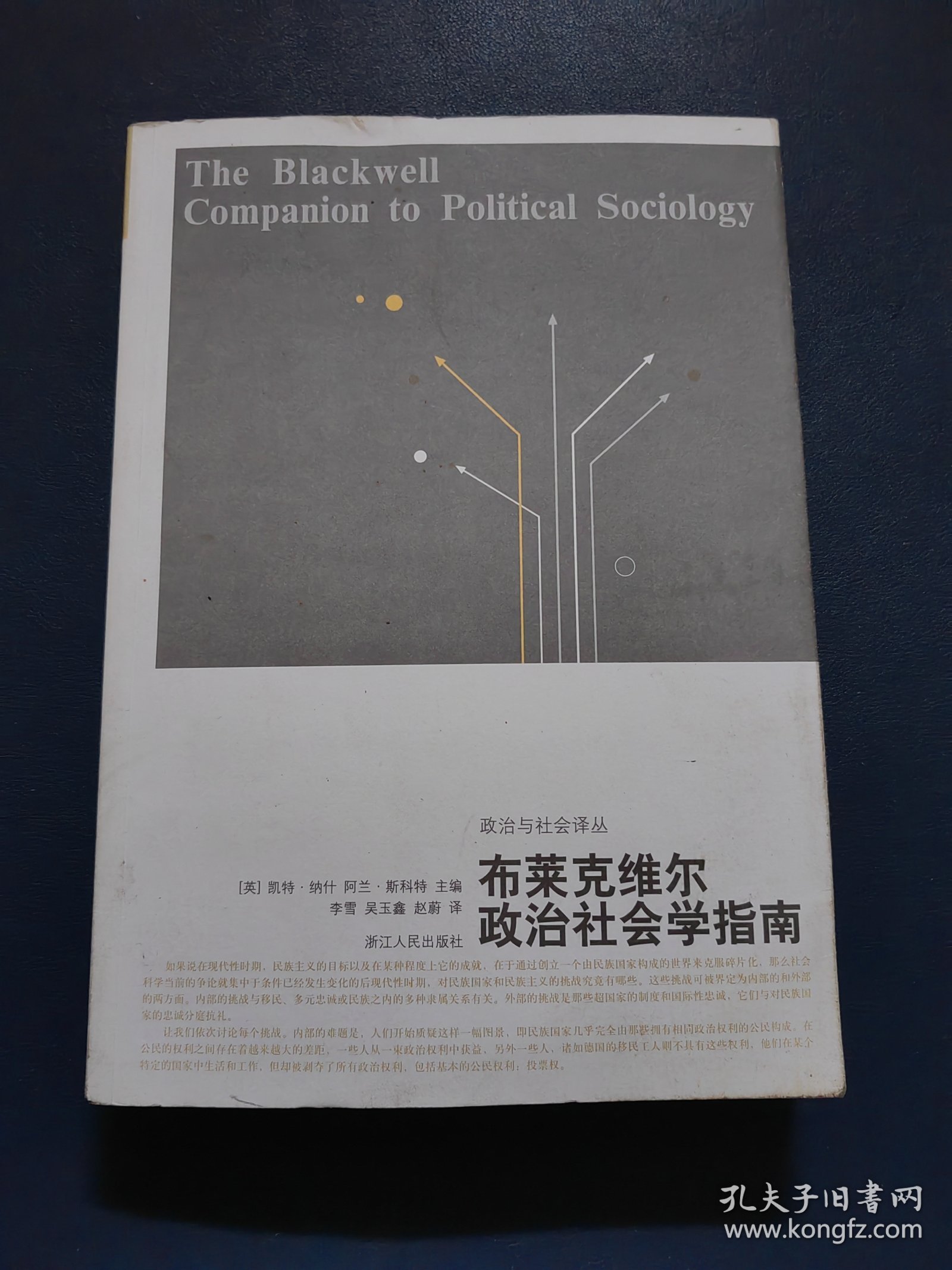 布莱克维尔政治社会学指南