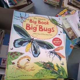 theusbornebigbook of bigbugs