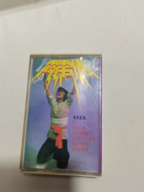 磁带 霹雳情 印武建 景岗山演唱 （有词）