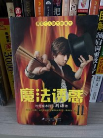 魔法诱惑II