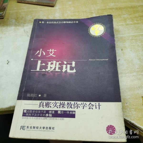 小艾上班记：真帐实操教你学会计