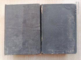辞源 上下册（丁种二册）