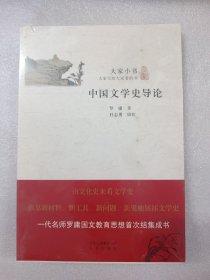 大家小书 中国文学史导论