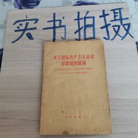 《63年一版二印》关于国际共产主义运动总路线的建议