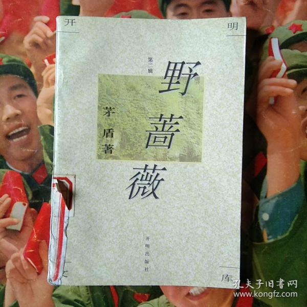 开明文库·第二辑：野蔷薇