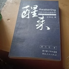 醒来：110年的中国变革