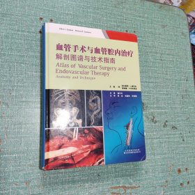 血管手术与血管腔内治疗：解剖图谱与技术指南