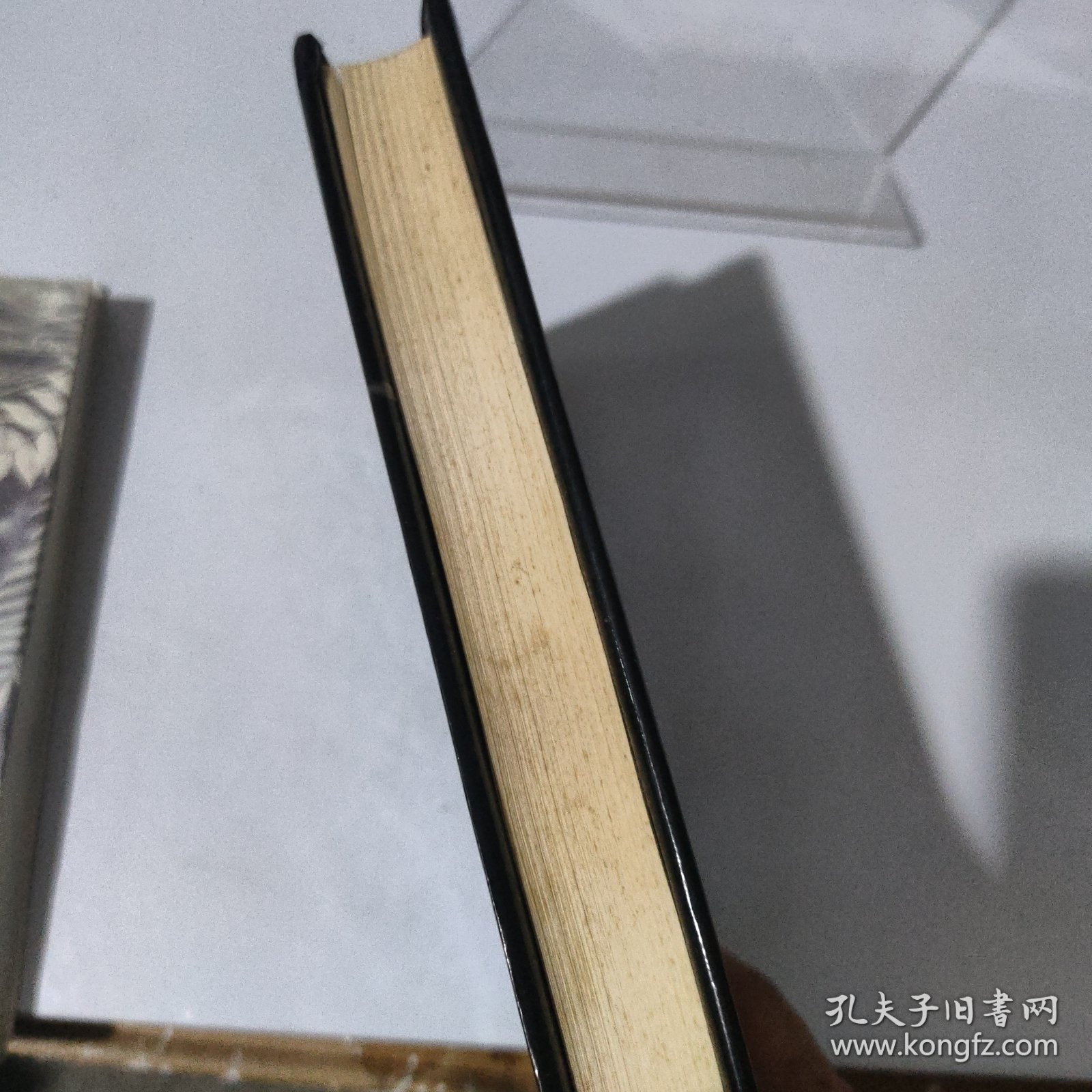 纸牌屋