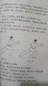 鹰爪翻子拳