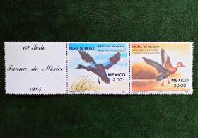 墨西哥1984年发行的野鸭，全套两枚带附票。原胶无贴全品相。