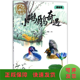 疯狂博物馆——小????奇遇