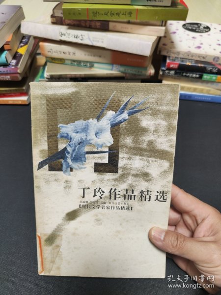 丁玲作品精选