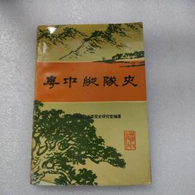 粤中纵队史