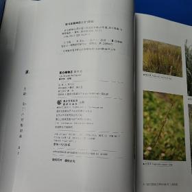 昆仑植物志（第1－4卷）全套四册 精装